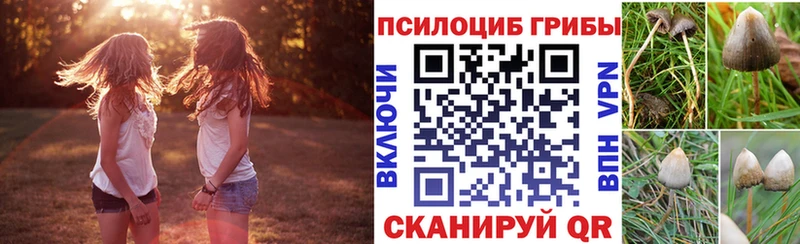 Галлюциногенные грибы Magic Shrooms  Коммунар 